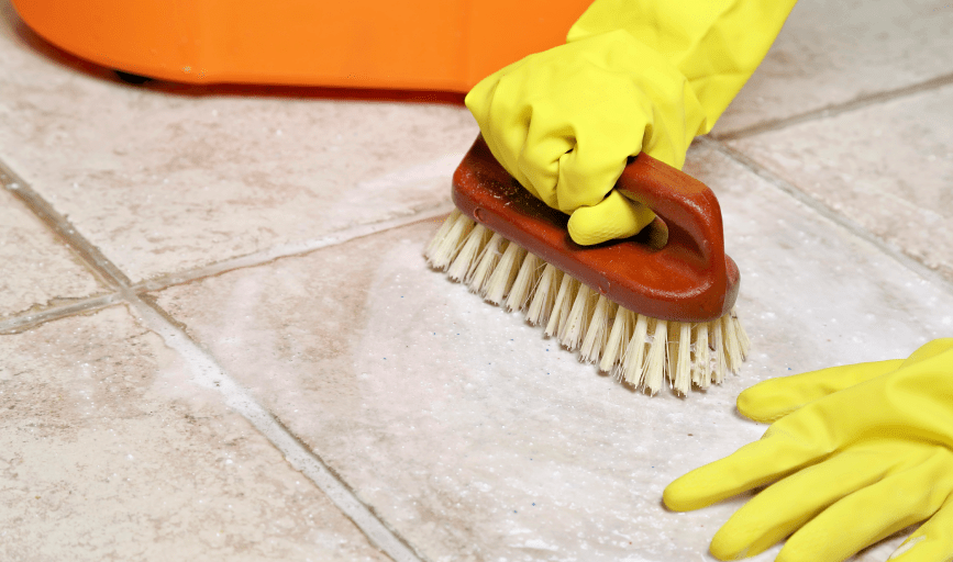 Clean Theory NYC Cleaning Services